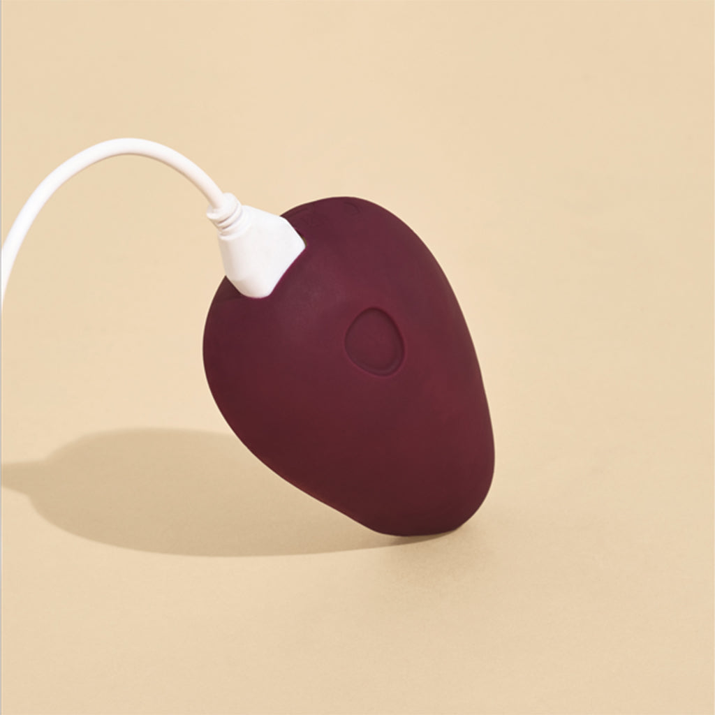 Pom Vibrator - Salix Intimates