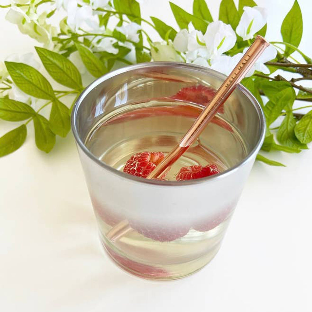Reusable Metal Cocktail Straws - Salix Intimates