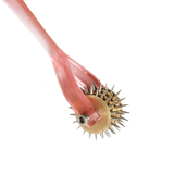 Spike Sensation Pinwheel