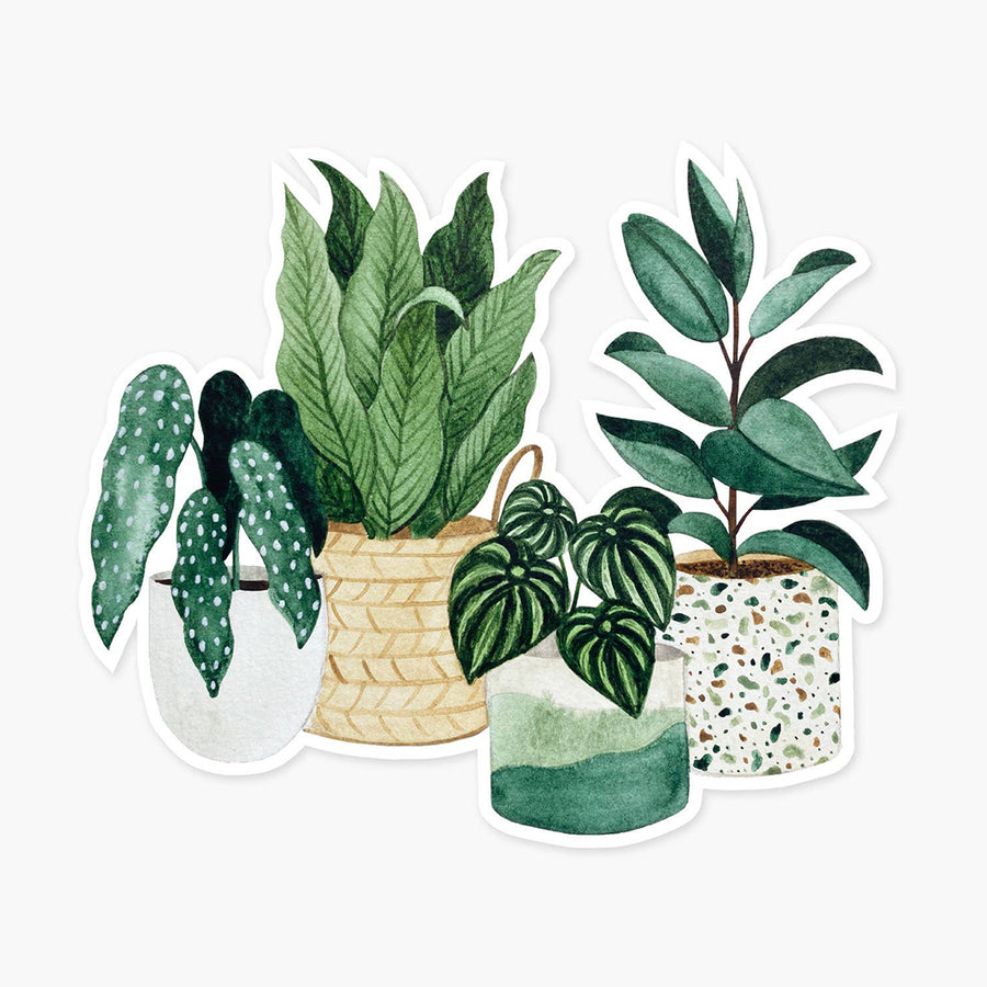 Potted Plants Clear Sticker