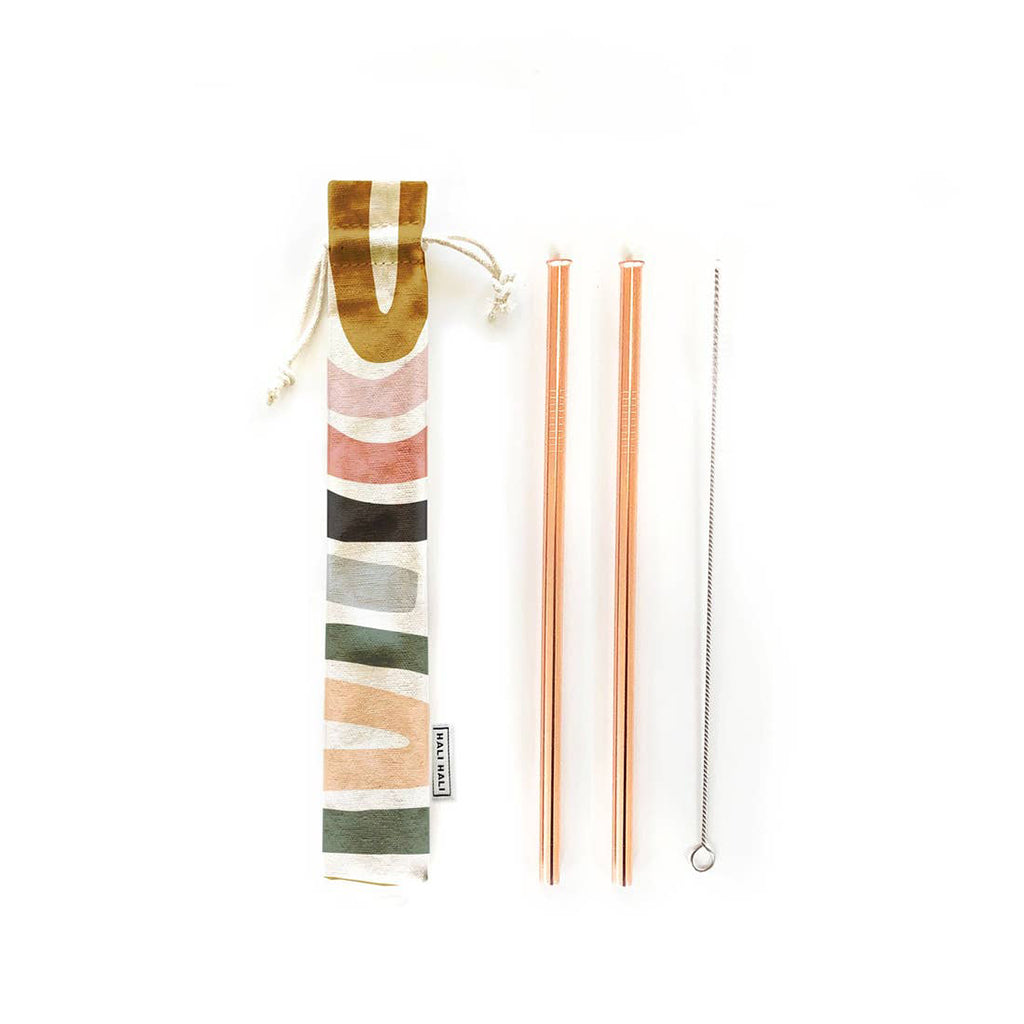 Reusable Metal Straw Set - 2 Straw Pack - Salix Intimates