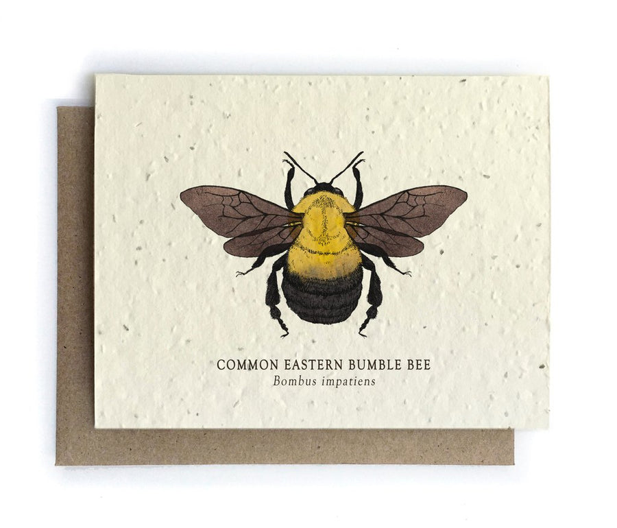 Bumble Bee Plantable Seeded Card - Salix Intimates