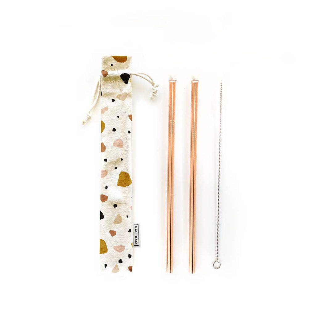 Reusable Metal Straw Set - 2 Straw Pack - Salix Intimates