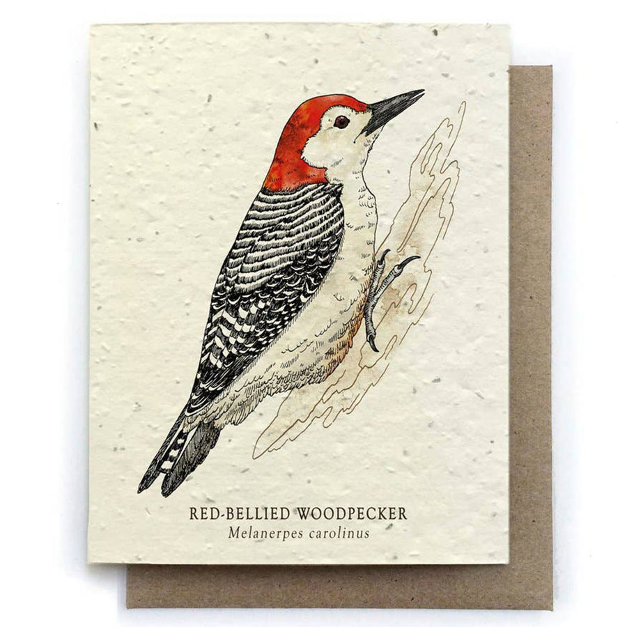 Woodpecker Plantable Seeded Card - Salix Intimates