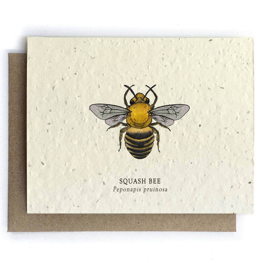 Squash Bee Plantable Seeded Card - Salix Intimates