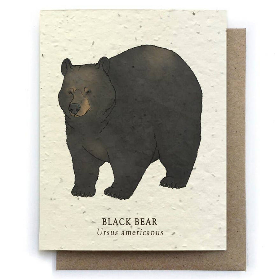Black Bear Plantable Seeded Card - Salix Intimates