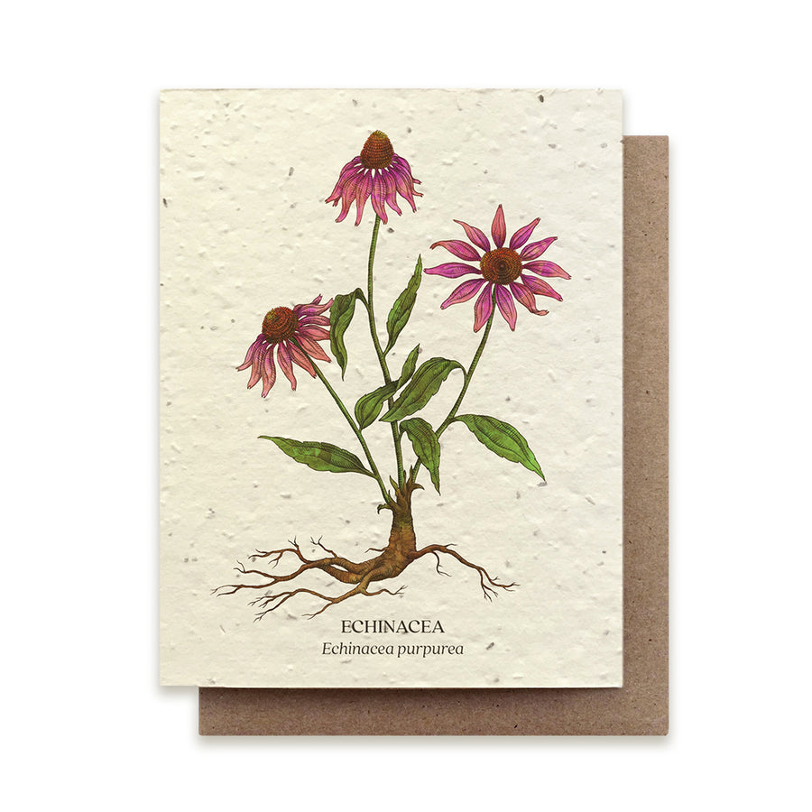 Echinacea Plantable Seeded Card