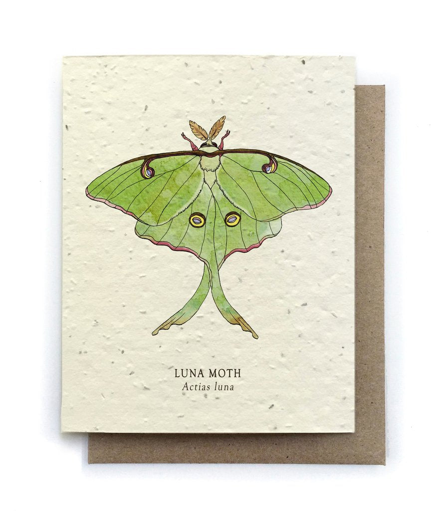 Luna Moth Plantable Seeded Card - Salix Intimates