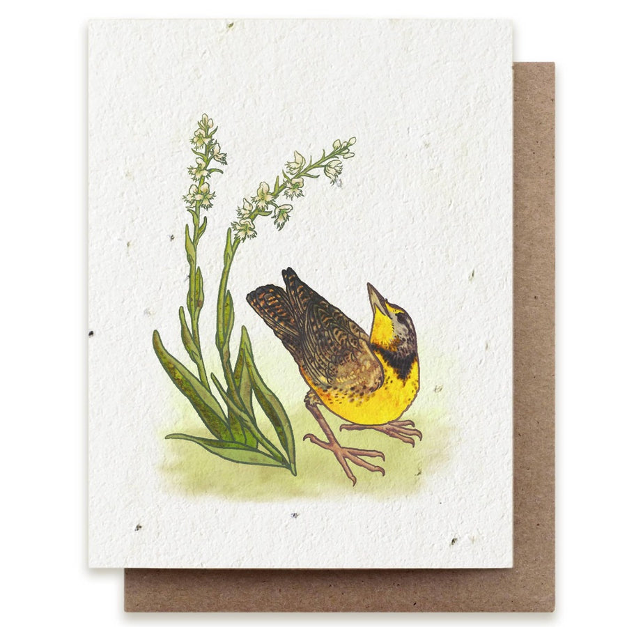 Meadowlark + Prairie Orchid Plantable Herb Seeded Card