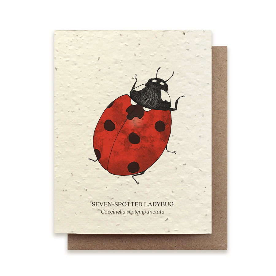 Ladybug Plantable Seeded Card