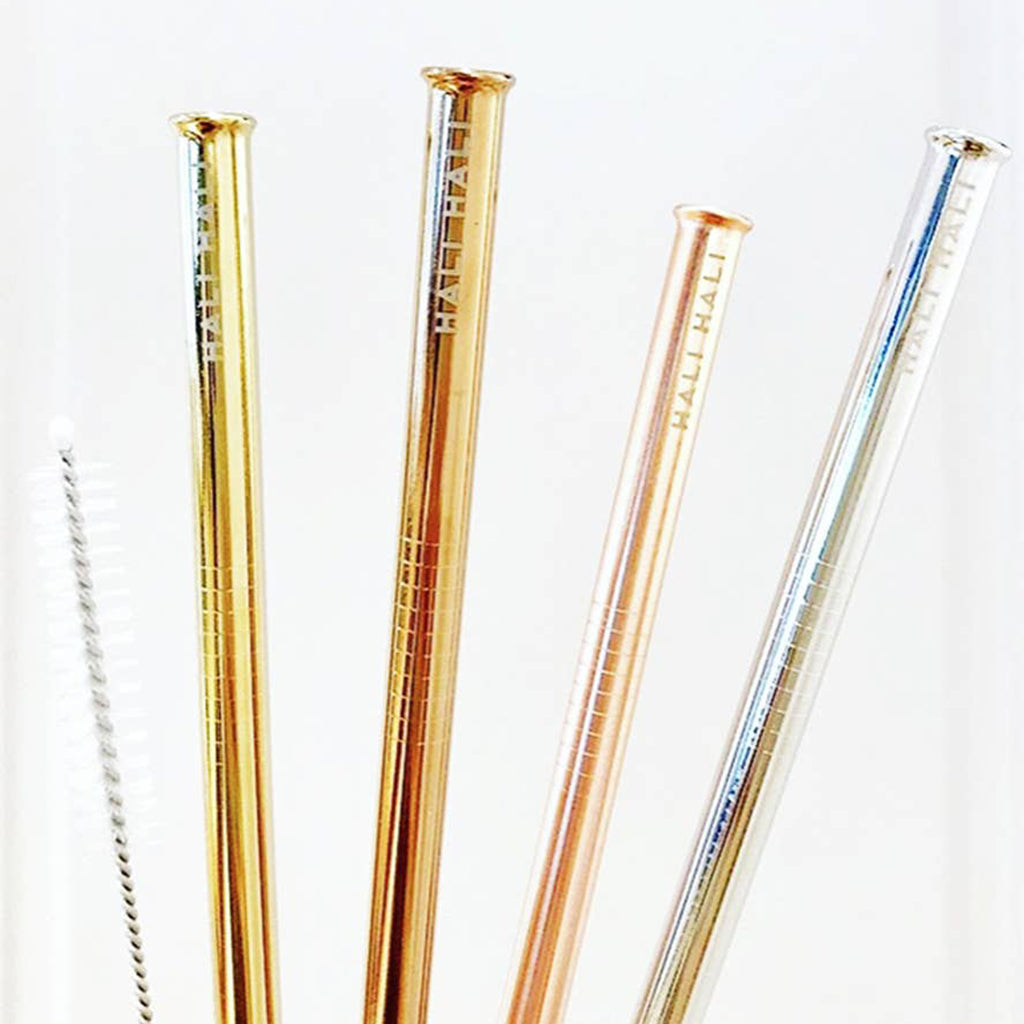 Reusable Metal Straw Set - 2 Straw Pack - Salix Intimates