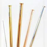 Reusable Metal Straw Set - 2 Straw Pack - Salix Intimates