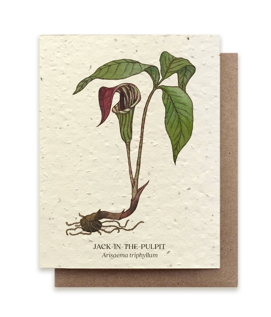 Jack-In-The-Pulpit Plantable Seeded Card
