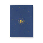 Night Sky Notebook - Salix Intimates