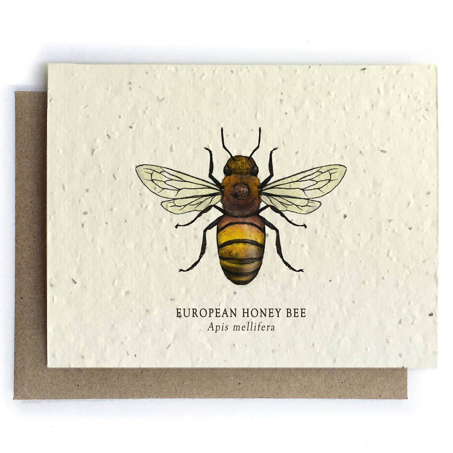 Honey Bee Plantable Seeded Card - Salix Intimates