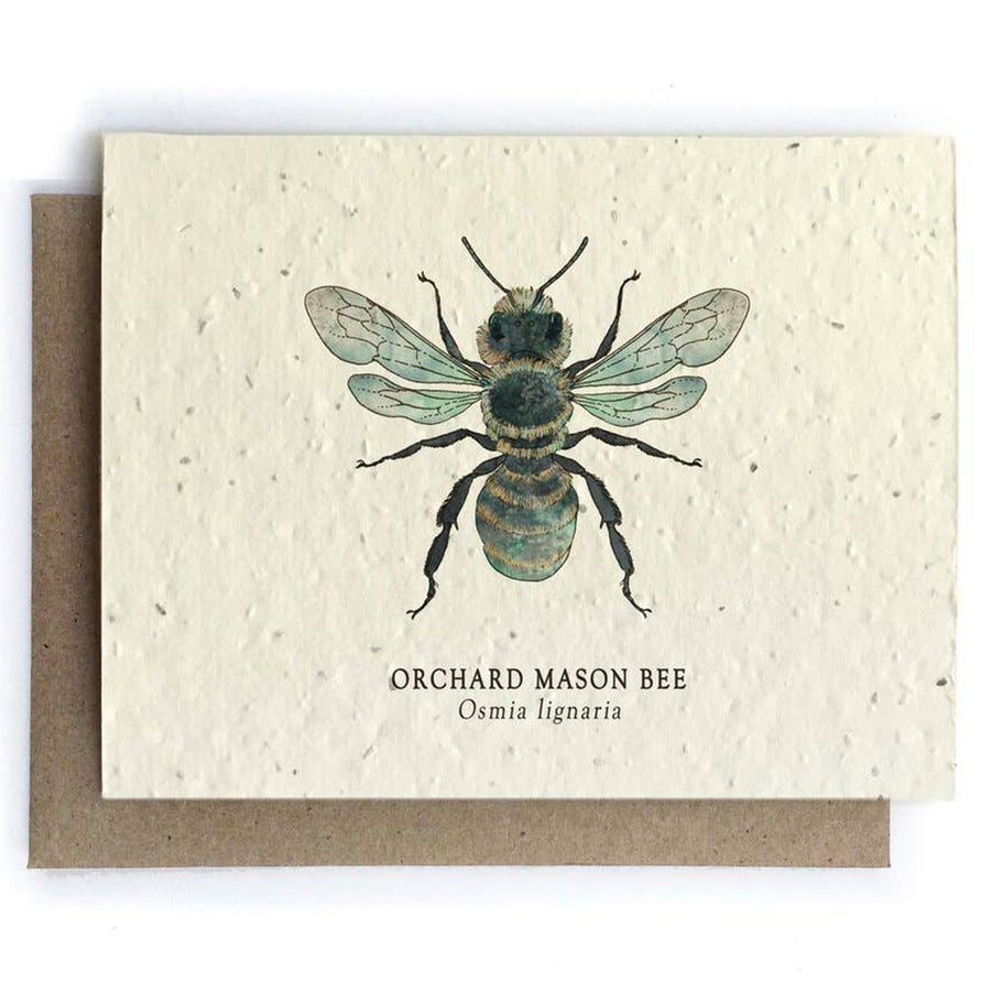 Mason Bee Plantable Seeded Card - Salix Intimates