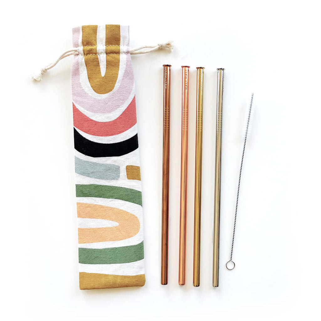 Rainbow Print Reusable Metal Straw Set - Salix Intimates