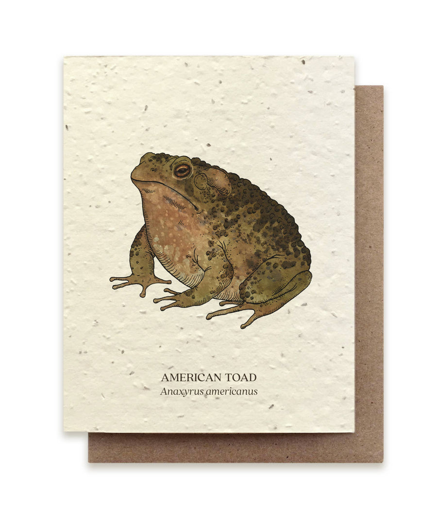 Toad Plantable Seeded Card