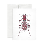 Blowout Tiger Beetle Greeting Card - Salix Intimates