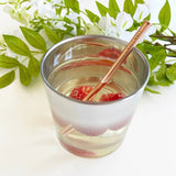 Reusable Metal Cocktail Straws - Salix Intimates