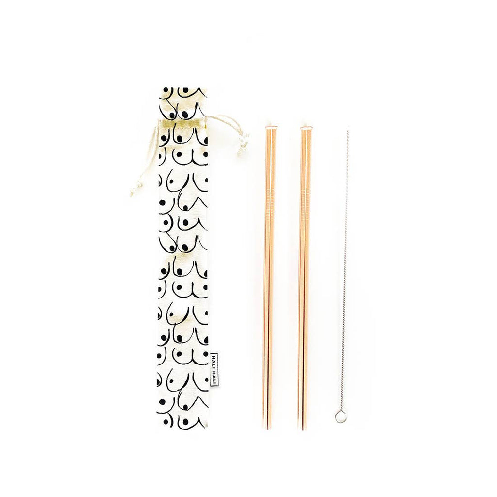 Reusable Metal Straw Set - 2 Straw Pack - Salix Intimates