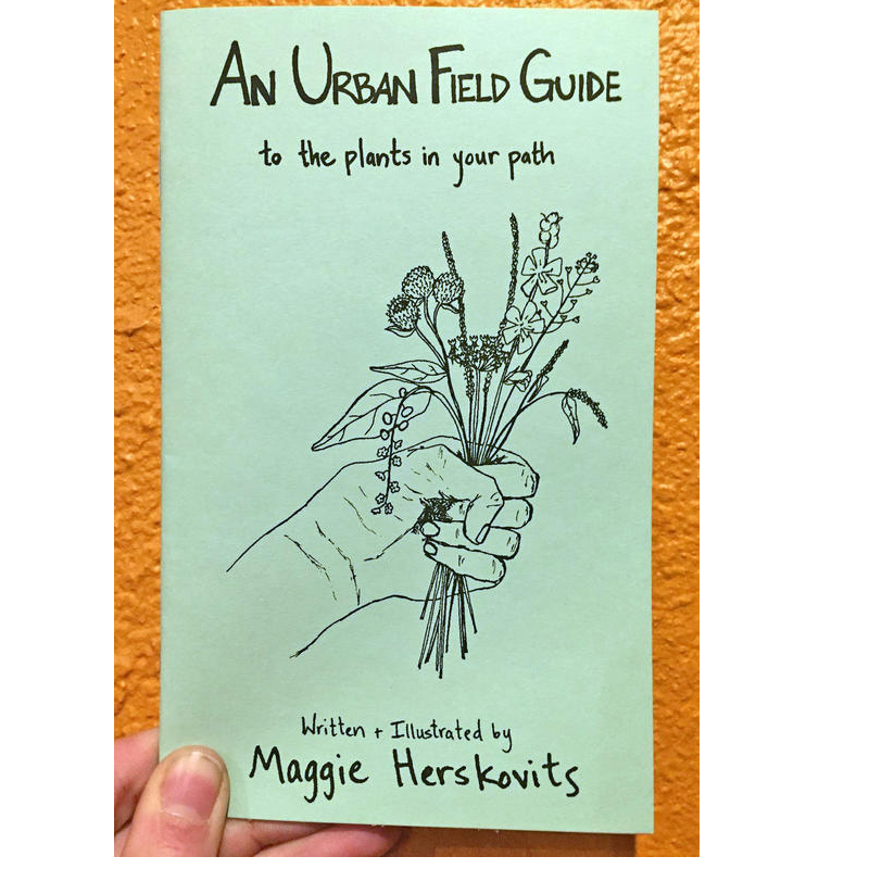 An Urban Field Guide to the Plants in Your Path